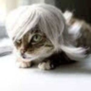 Meet your Posher, Marie